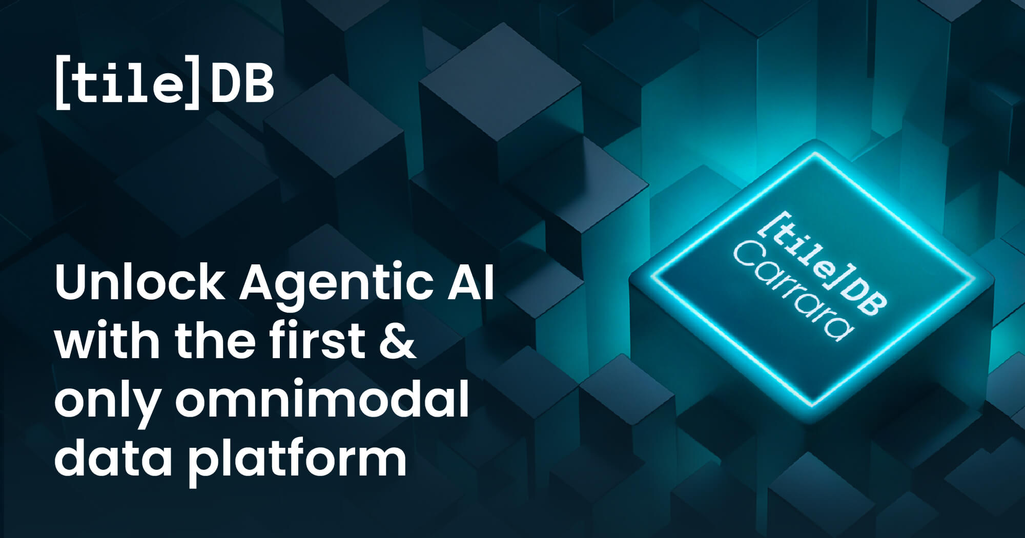 TileDB-Carrara-omnimodal-data-platform